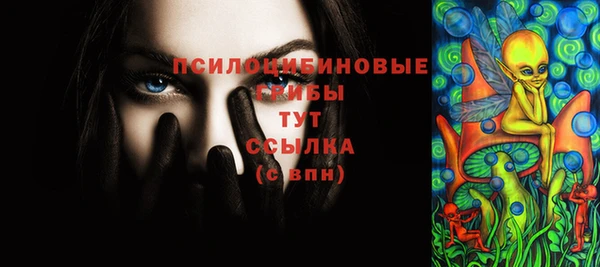 таблы Новозыбков