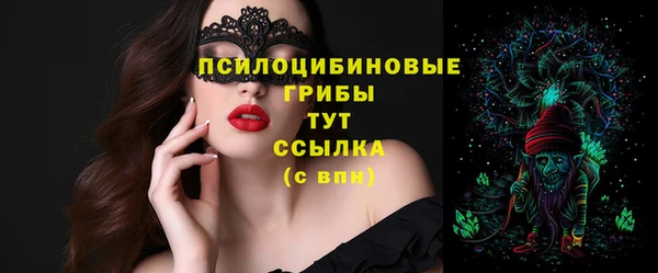 соль ск Нефтекумск